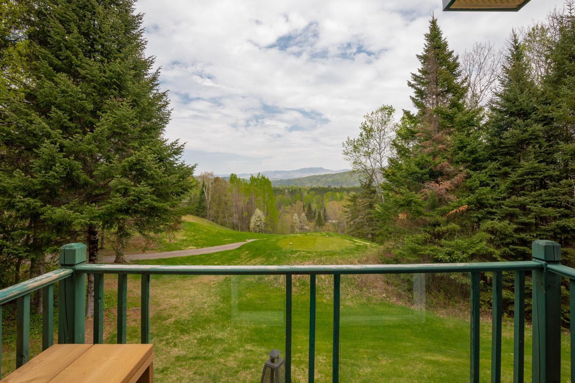 2-Level Home - Tremblant Mountain View - Fireplace مونت تريمبلانت المظهر الخارجي الصورة